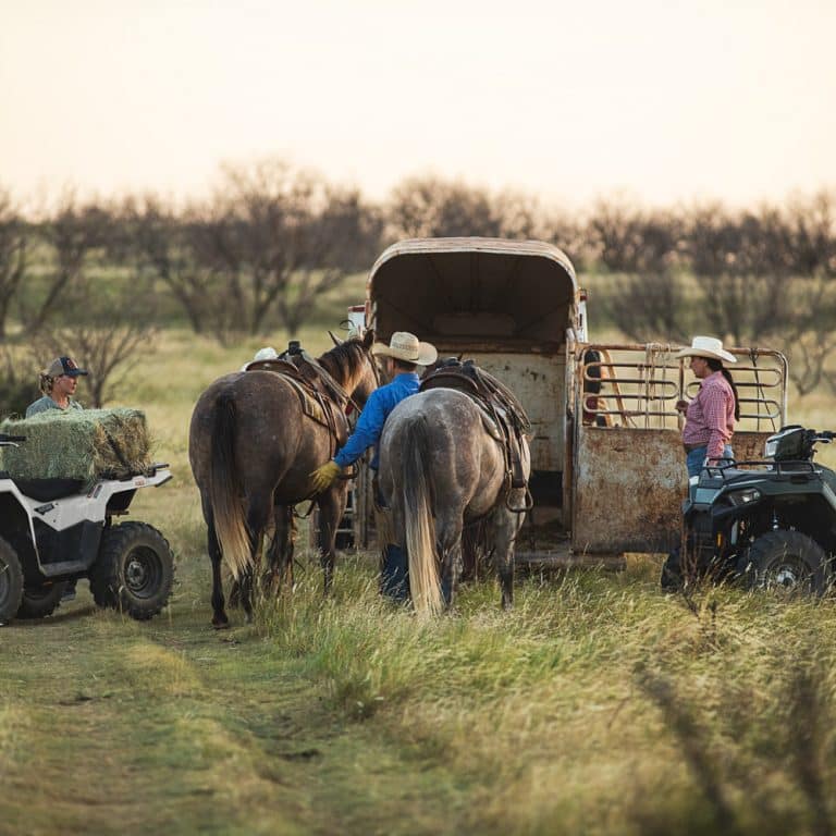 Polaris Off Road Reintroduces Purpose Built Ranger And Sportsman Models