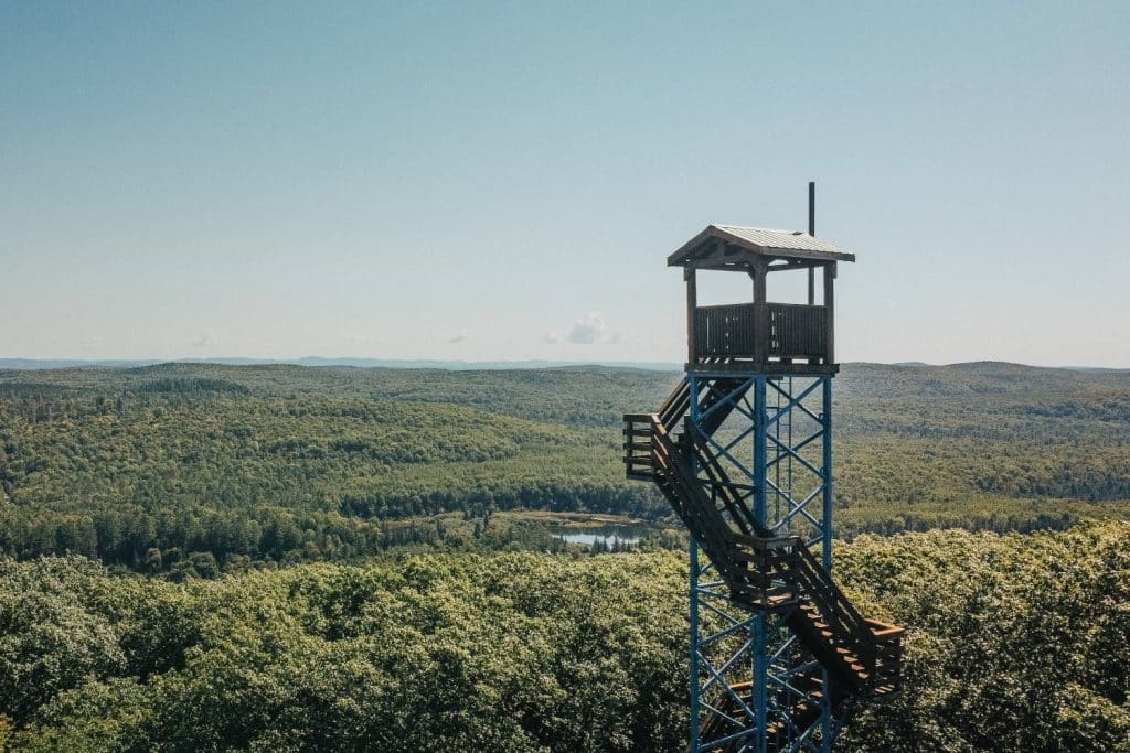 observation tower perched in the middle of nature