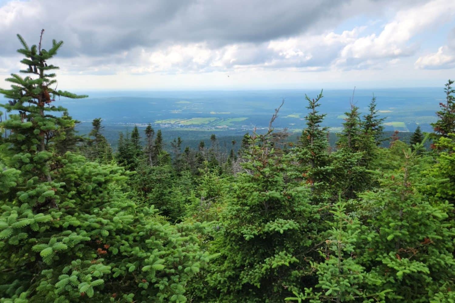 Point de vue du Massif du Sud