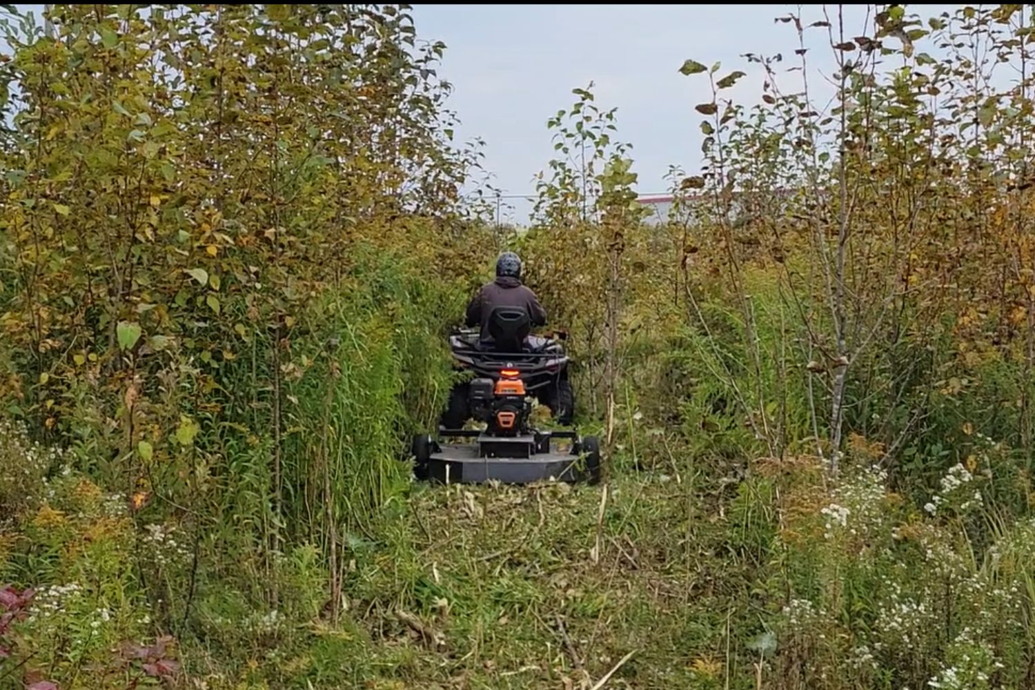 Bercomac rough trail cutter